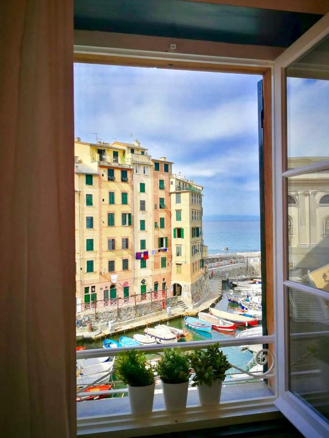 Sguardo sul Porto ( codice CITRA 01007-LT-0314 ) Camogli Exterior foto